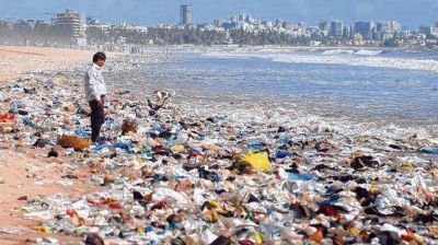 Desarrollan una bacteria que se 