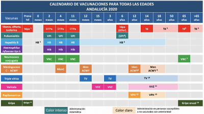 La vacuna tetravalente de la meningitis para 12 meses y 12 a�os, principal novedad del nuevo calendario de vacunaciones