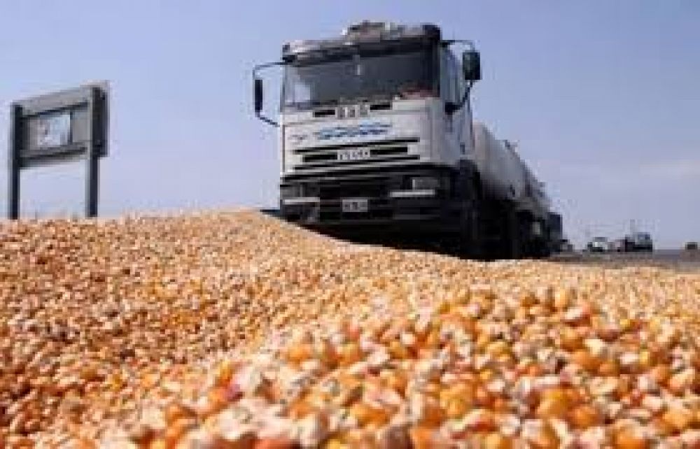 Chaco actualiz el cuadro tarifario para el transporte de granos