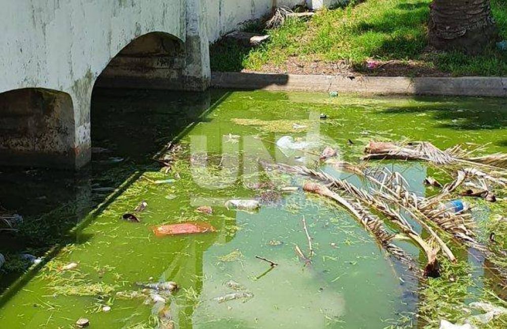 Vecinos del Parque Garay preocupados por aguas contaminadas y mucha basura