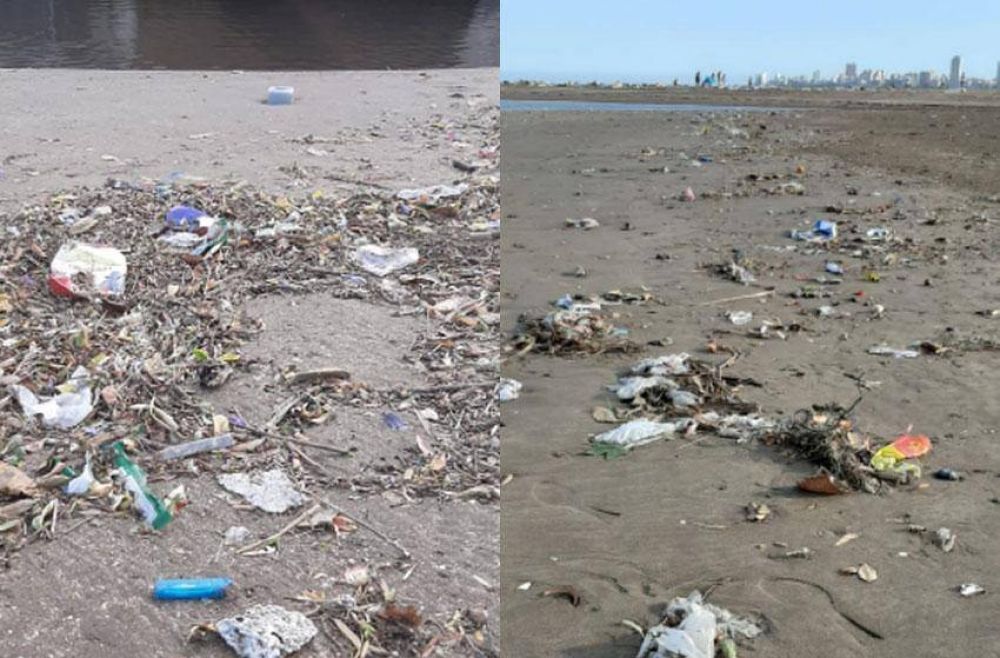Marplatenses juntaron ms de 5 mil colillas de cigarrillos de la playa de Constitucin