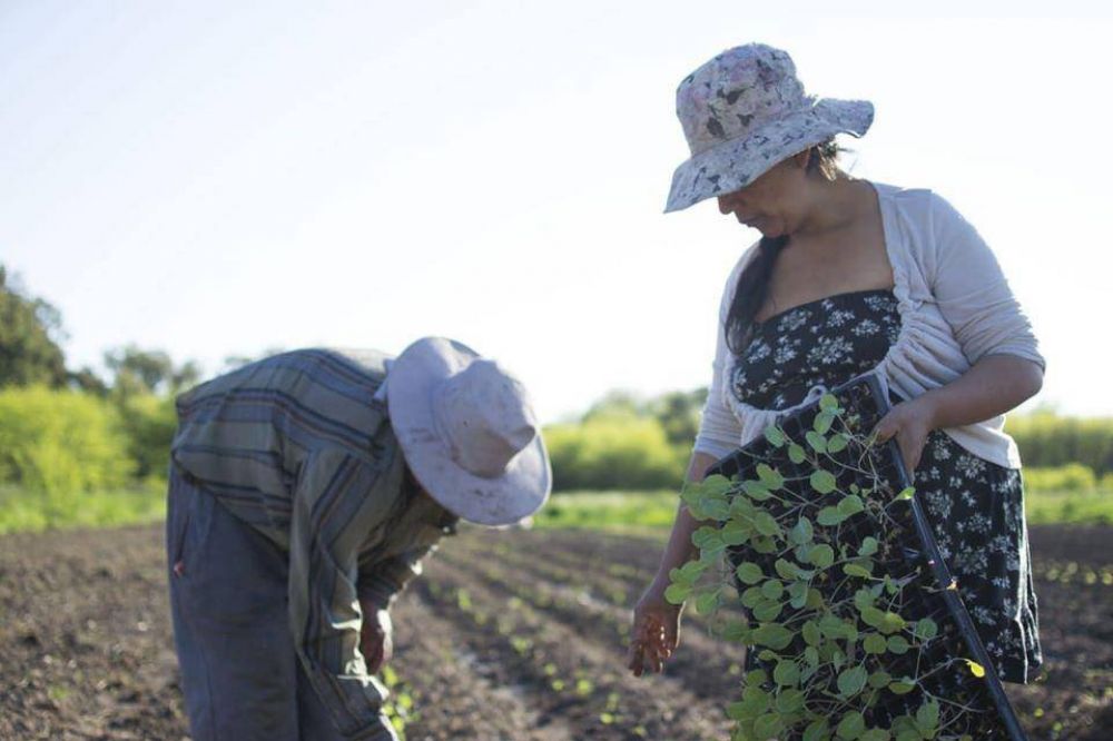 Unin de Trabajadores de la Tierra: Somos el campo que produce alimentos