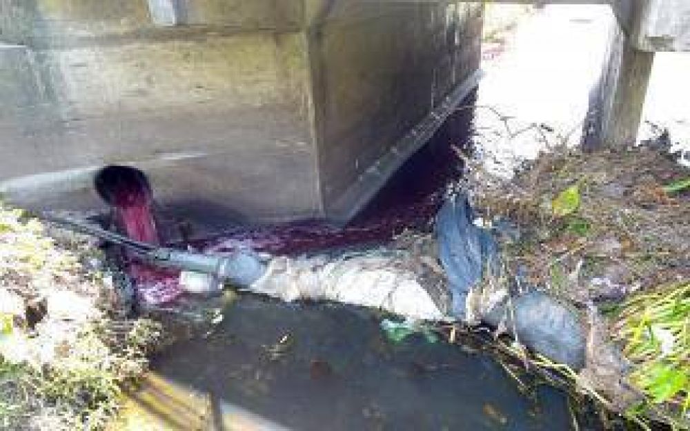 Tigre: Municipio clausur una empresa textil por contaminacin en el arroyo Darragueira
