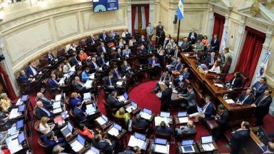 El Senado retomar� su actividad: en agenda est�n las designaciones en el Banco Central y de Daniel Rafecas