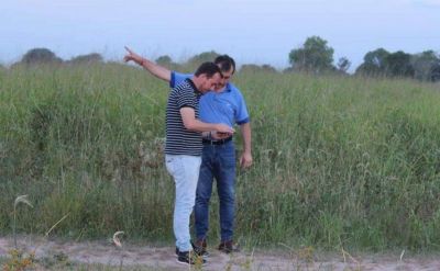 Ben�tez y Margarita podr�an unificar el tratamiento de sus residuos