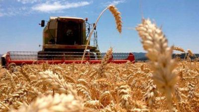 Trabajadores rurales tambi�n recibir�n el aumento de $4.000 dispuesto por decreto