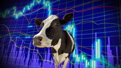 El Gobierno, preocupado por el precio de la carne vacuna, pide 