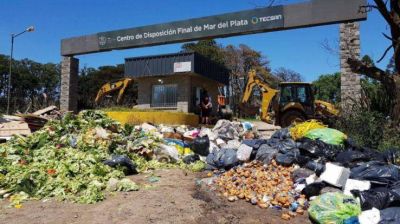 Proponen que Desarrollo Social lleve a cabo el Programa Social de Gesti�n de Residuos S�lidos Urbanos