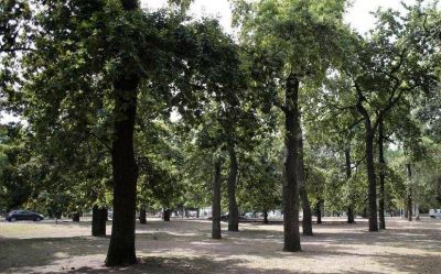 En la Casa Ecol�gica se dar�n talleres ambientales