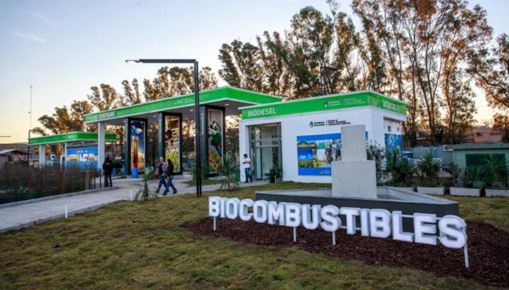 Empresarios de biocombustibles piden cumbre con el gobierno para evitar 3 mil despidos