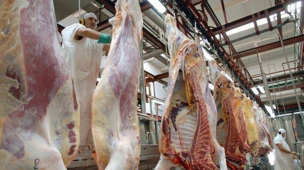 Los trabajadores de la carne ya no podrn cargar media reses sobre la espalda