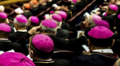 Rechazan art�culos que hablan de una �conspiraci�n� de obispos contra el Papa Francisco
