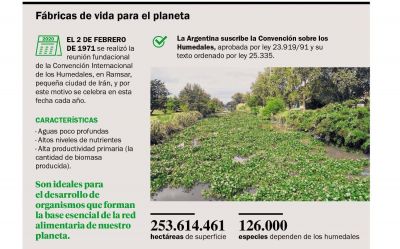 En el D�a de los Humedales, piden proteger los que est�n bajo amenaza en la Regi�n