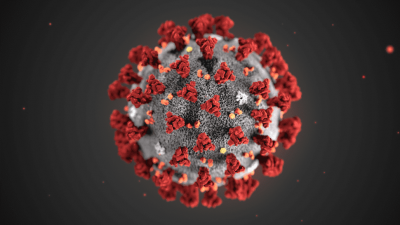 Coronavirus: radiograf�a de un virus con forma de corona