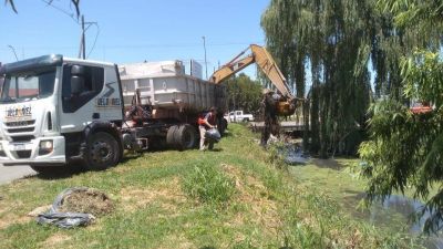 Extrajeron seis mil metros c�bicos de basura del Canal Maestro Sur