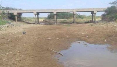 General Lavalle: Sequ�a extrema genera mortandad de peces en el Canal 2