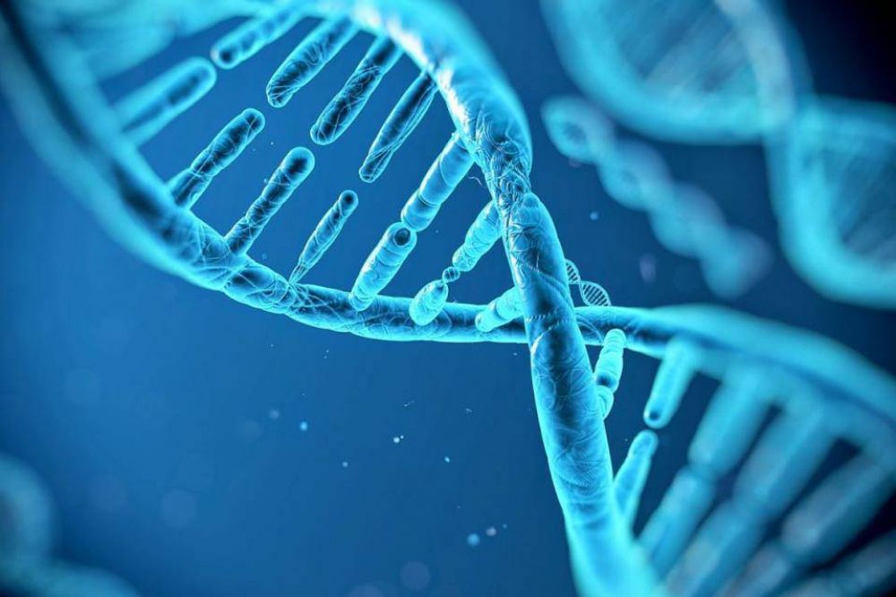 Lucha contra el cncer: Un estudio genmico permitir detectarlo antes de que se manifieste
