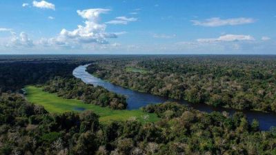 Los �grandes sue�os� de Francisco para la Amazonia