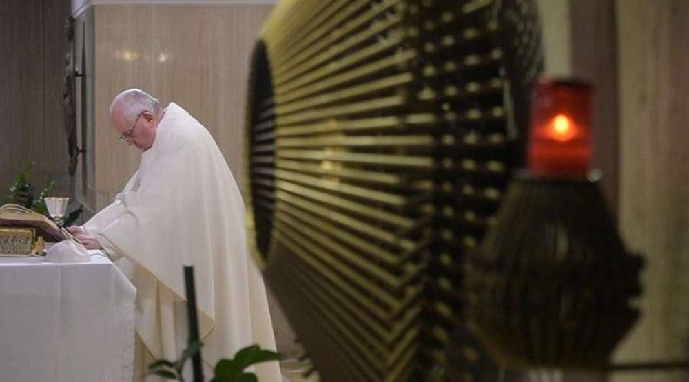 Papa Francisco anima a agradecer y pedir perd�n a quienes nos acompa�an en la vida