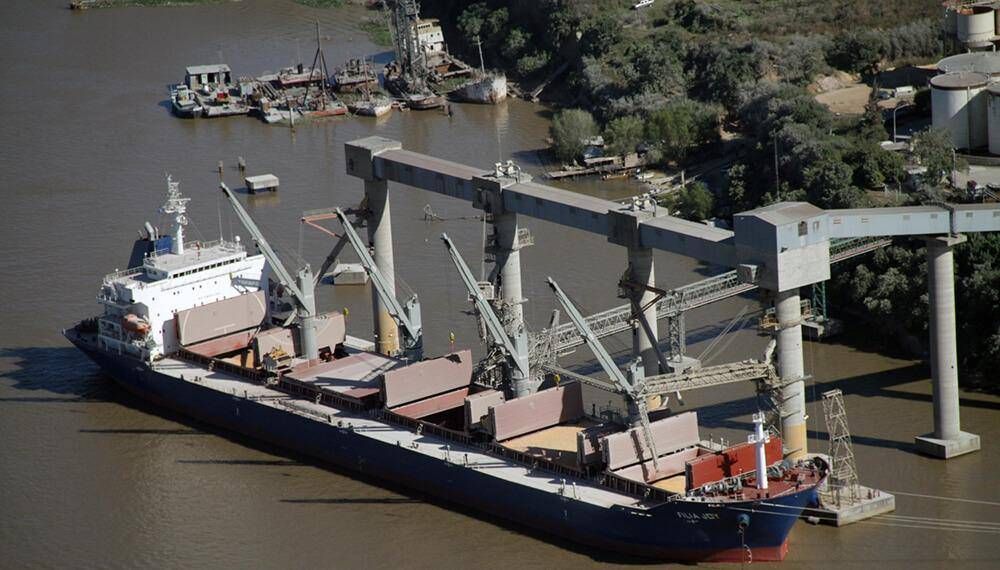 Advierten por la falta de controles de residuos patognicos en buques que llegan a Rosario