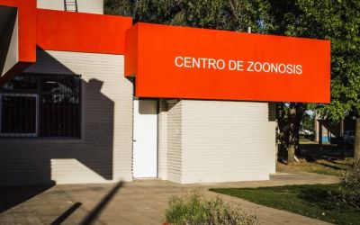 Dengue: �No existe ning�n caso sospechoso en Trenque Lauquen�