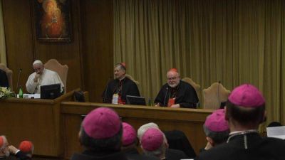 Pasos dados despu�s del Encuentro sobre protecci�n de menores en la Iglesia