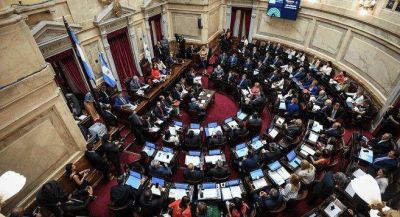 Senado: la grieta por el aborto se col� en el debate por la designaci�n de Marisa Graham como defensora del Ni�o