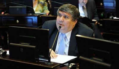 Para el jefe de los senadores oficialistas, si se legaliza el aborto �el Estado est� autorizando a matar a una persona�