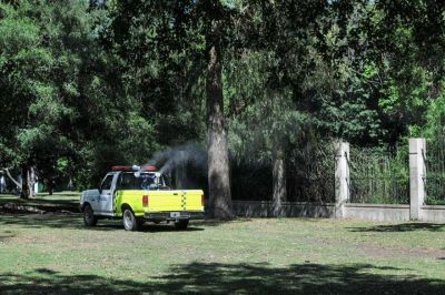Ya son 19 los contagiados con dengue en lo que va del a�o en La Plata