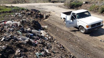Por d�a, se recogen 600 larvas de mosquitos en 