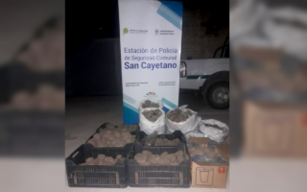 San Cayetano: Empleados municipales involucrados en robo de dos toneladas de papa de la comuna