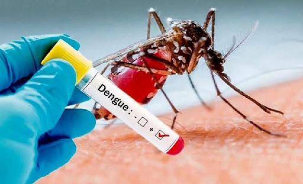 En una semana, aumentaron un 66% los casos de dengue en la Ciudad