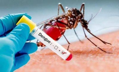 En una semana, aumentaron un 66% los casos de dengue en la Ciudad