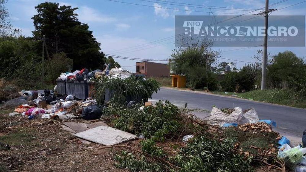 En Parque Sicardi los contenedores explotan de basura: La ratas se hacen un picnic