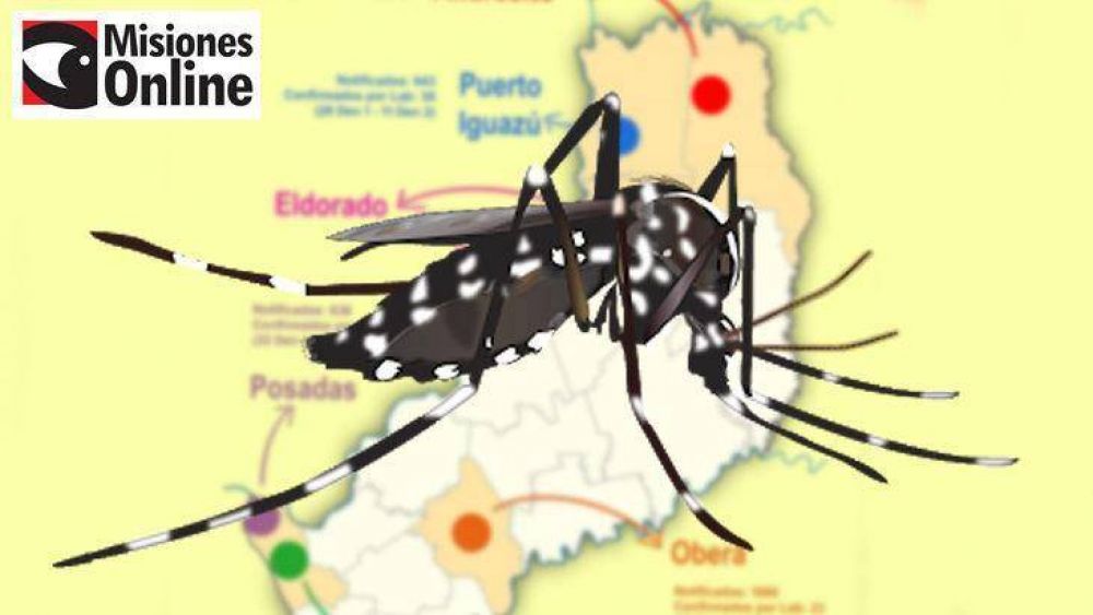 Infografa de la situacin del dengue en Misiones: Ober, Andresito e Iguaz son las localidades ms afectadas