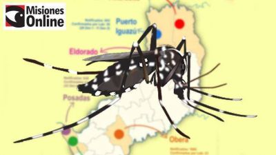 Infograf�a de la situaci�n del dengue en Misiones: Ober�, Andresito e Iguaz� son las localidades m�s afectadas