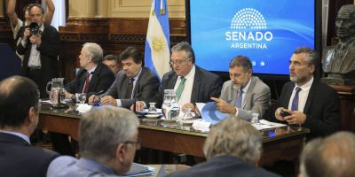 Votaci�n de las jubilaciones de privilegio: la determinaci�n del Gobierno y el proyecto opositor