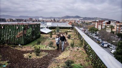 Un ecosistema propio sobre el techo de la oficina