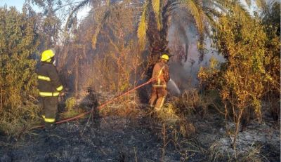Un vecino quemaba basura y las llamas se expandieron