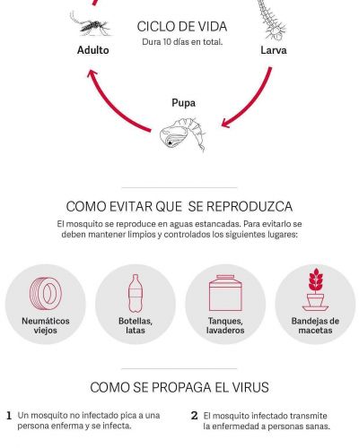 Hay 666 casos de dengue confirmados en la Ciudad y aumentan los �aut�ctonos�