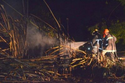 Sancionar�n a quienes quemen basura sin control