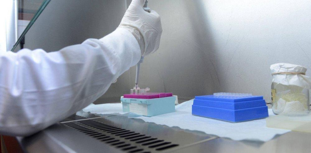 Coronavirus: expertos aseguran que la descentralizaci�n de los tests subir� la cifra de positivos