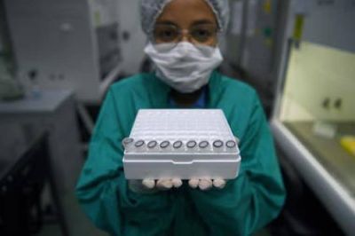 �M�s cerca del ant�doto? El remdesivir, un medicamento antiviral, podr�a ayudar a combatir el coronavirus
