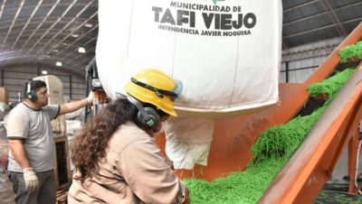 Taf� Viejo: procesan residuos para fabricar cart�n