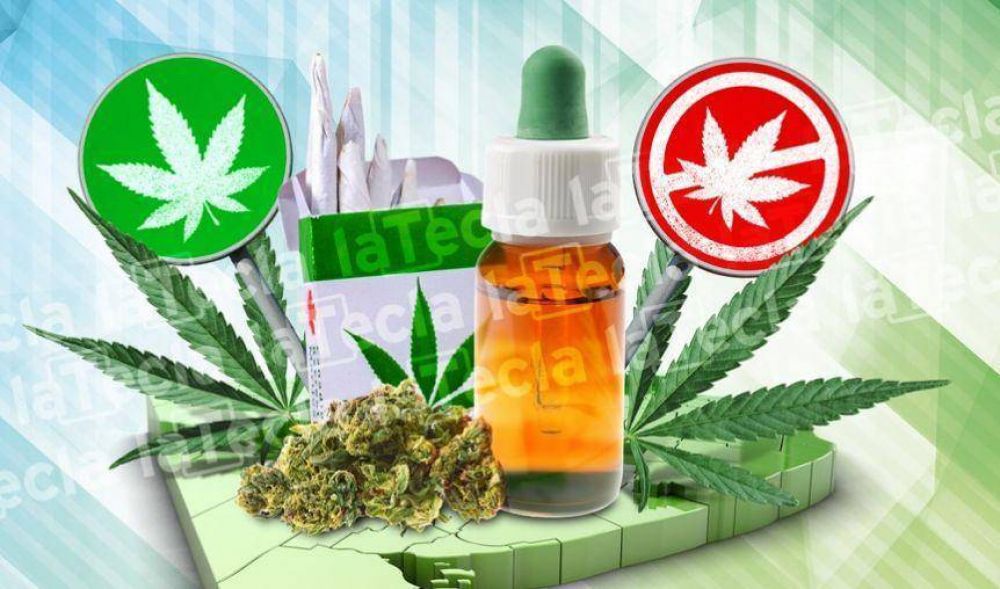 Cannabis: un debate que est verde
