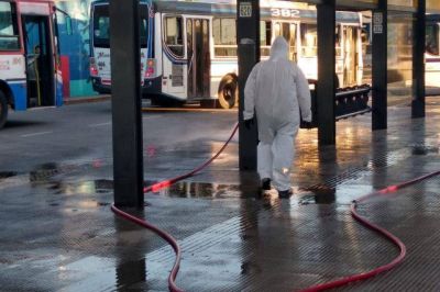 La Matanza: Se profundizan tareas de desinfecci�n y fumigaci�n