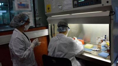 Dos casos de coronavirus confirmados en Lan�s