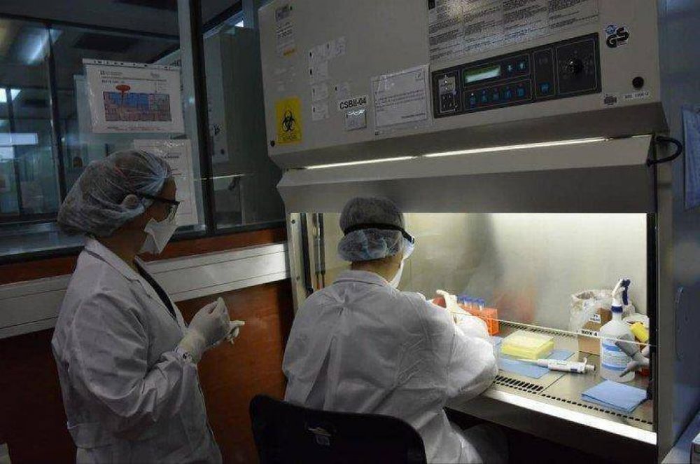 Coronavirus en Argentina: comprarn 500.000 reactivos para los test