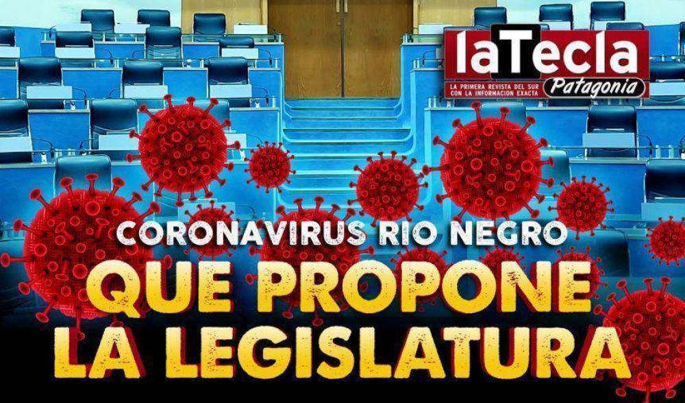 Coronavirus: qu propone la Legislatura
