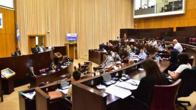 La Legislatura aprob� la Emergencia Sanitaria